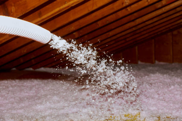 Best Blown-in Insulation in Eldora, IA