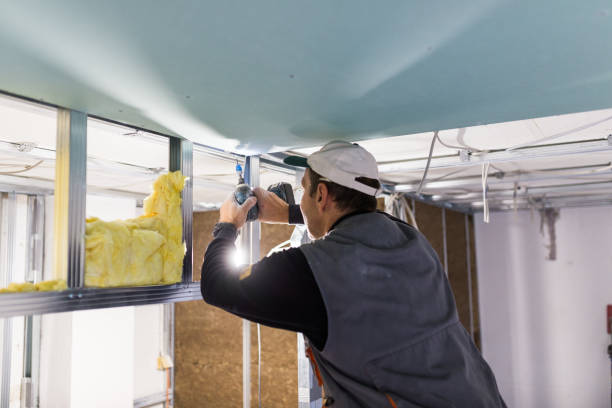 Best Spray Foam Insulation in Eldora, IA