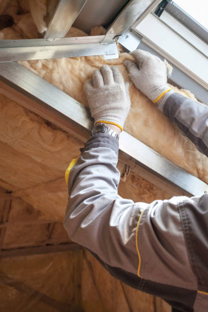 Best Energy Efficiency Insulation in Eldora, IA