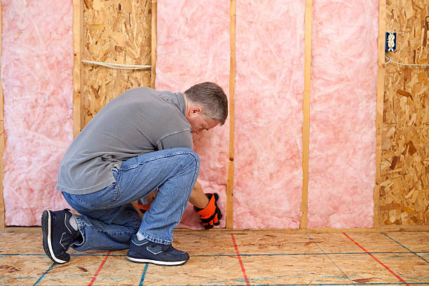 Best DIY Insulation Kits and Guidance in Eldora, IA