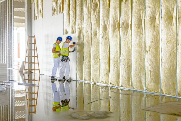 Best Eco-Friendly Insulation in Eldora, IA